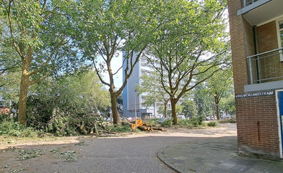NOC-Poly- Stormschade in de wijk Wheermolen